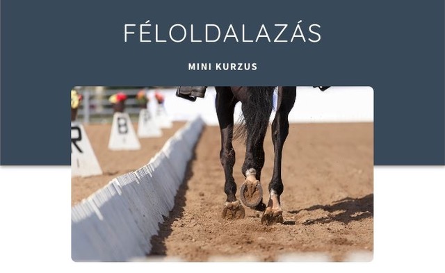 Féloldalazás