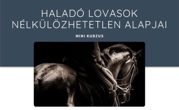 Haladó lovasok nélkülözhetetlen alapjai