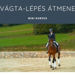 A vágta-lépés átmenet