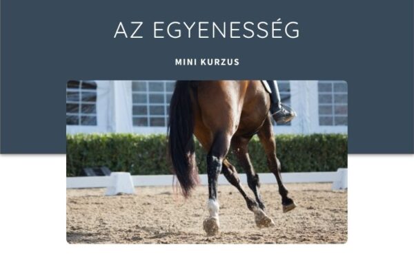 Az egyenesség