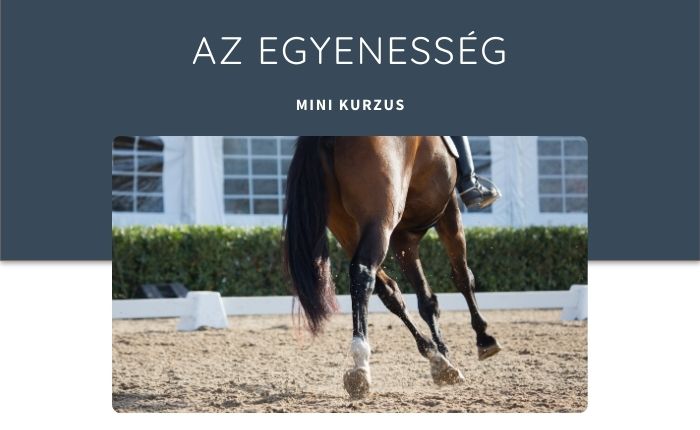Az egyenesség