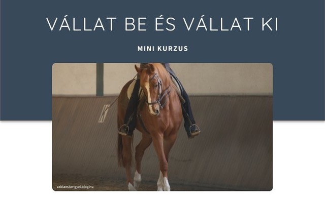 Vállat be és vállat ki