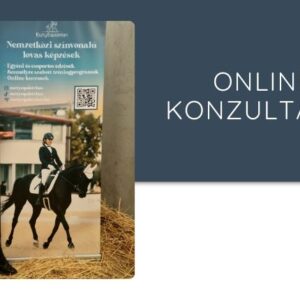 Online Konzultáció esztyequistrian