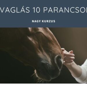 A lovaglás 10 parancsolata esztyequistrian